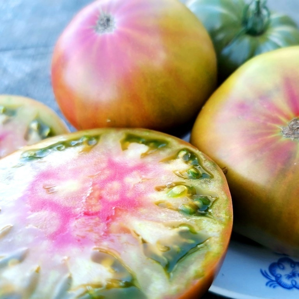 Помидоры Аляска Медная Река - Copper River Tomato