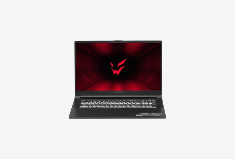 Ноутбук 17.3" ARDOR GAMING Intel Core i7-13620H 2.4 ГГц 16 ГБ DDR5 GeForce RTX 4070 для ноутбуков 8