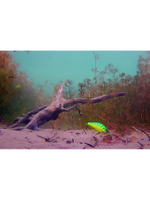 Воблер LureMax SOLDAT 56FSR-158, 6,7 г, 56 мм, шэд, плавающий