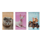 Блокнот А6 40л. "Кошки" 3 вида (Альт)