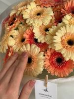 Букет из 25 минигербер кремовых оттенков