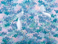 Коллекция Aurora