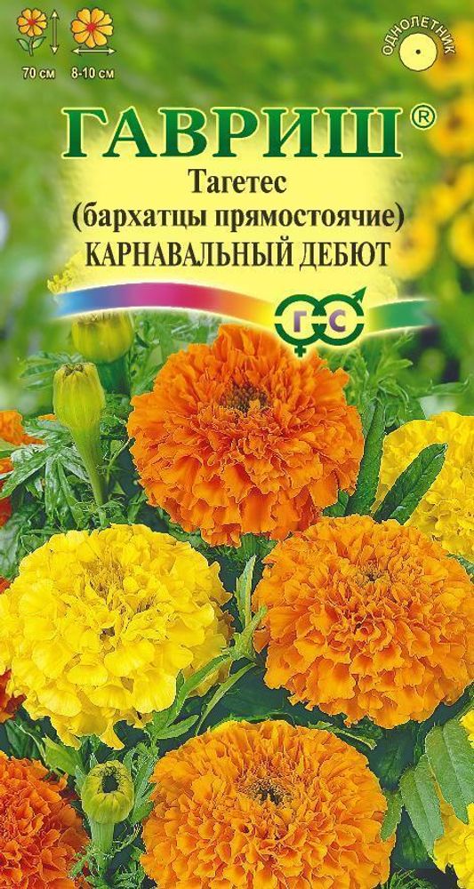 Семена Бархатцы Карнавальный дебют, прямостоячие "Гавриш" Семена Бархатцы Карнавальный дебют, прямостоячие "Гавриш"