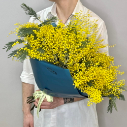 «Мимозель» букет из мимозы XL