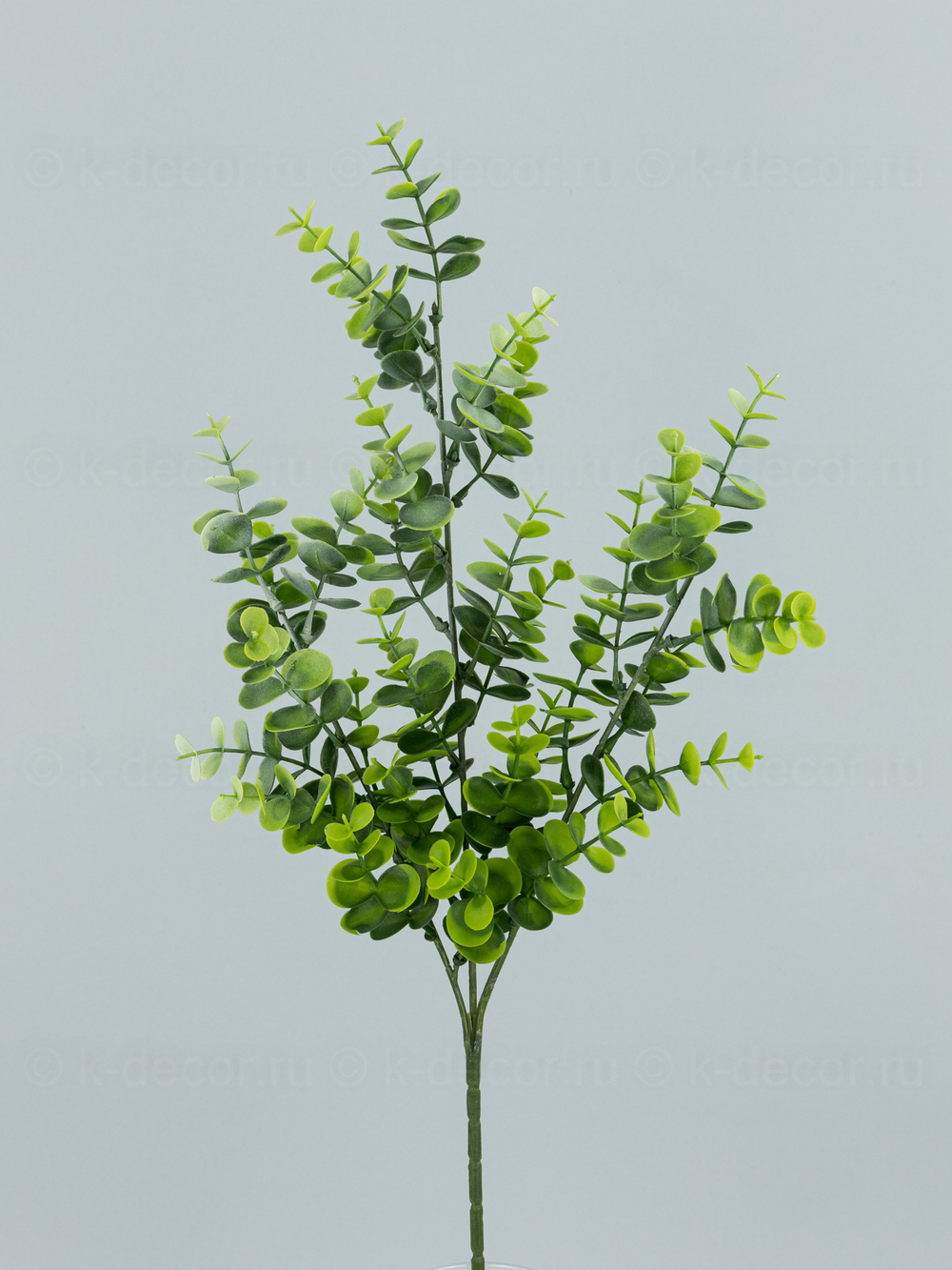 Ветка Эвкалипта Амалия