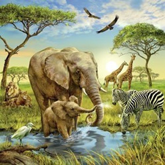 Puzzle Animals of the Earth 3x49 pcs