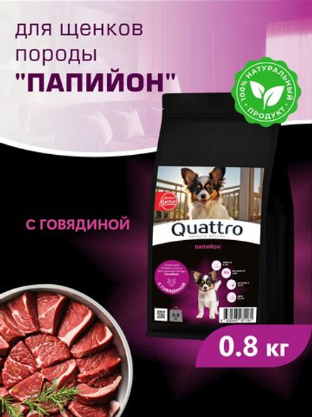 Корм сухой для щенков породы Папийон, с говядиной, 800 гр, QUATTRO