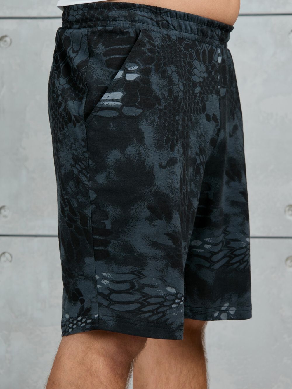 Шорты мужские Питон Виотекс РАЗНОЦВЕТНЫЙ