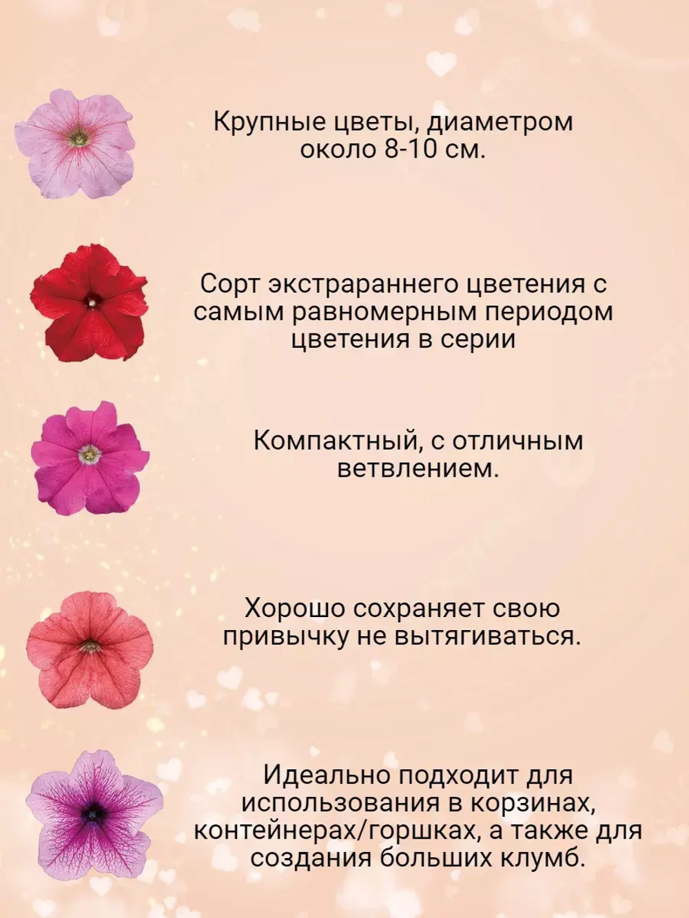 Семена Петуния Крупноцветковая