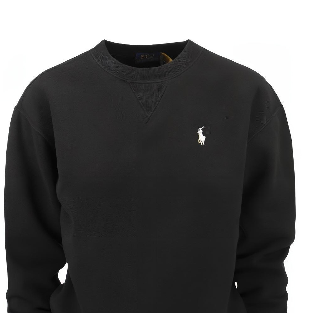 Толстовки Polo Ralph Lauren SS23 Logo, 211891557-003