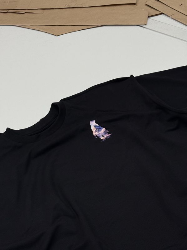 Футболка оверсайз(унисекс) ПИНГВИН БАТВАЙ