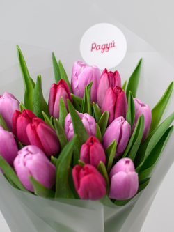 Тюльпаны микс