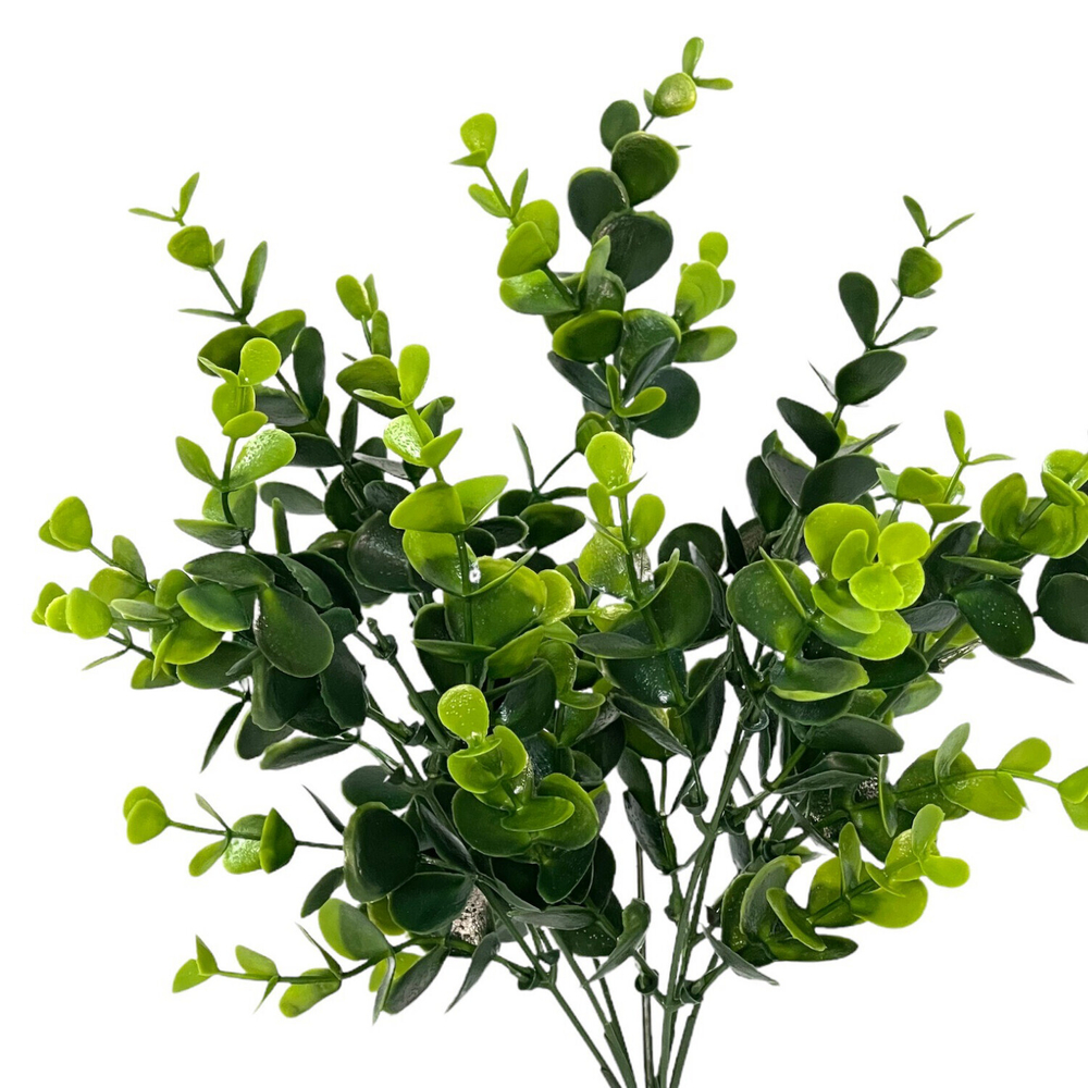 Самшит куст 30 см