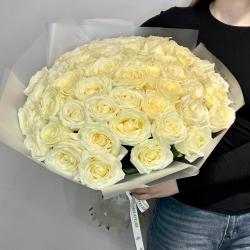 51 белая Роза премиум