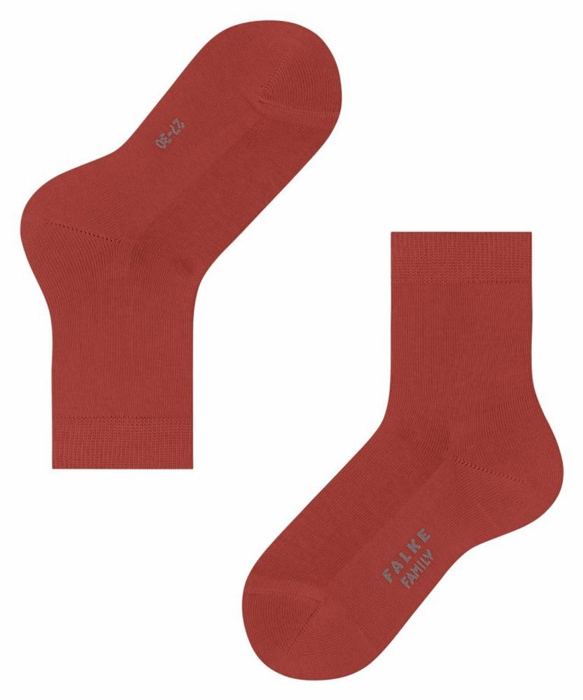 Носки Family FALKE 12998/8820