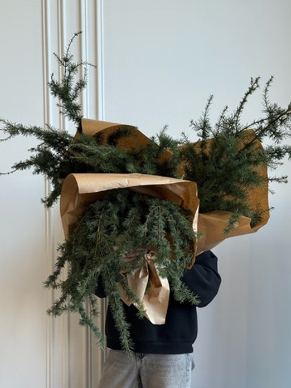 Хвоя - охапка пихты с шишками