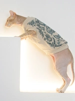 Одежда для кошек сфинкс