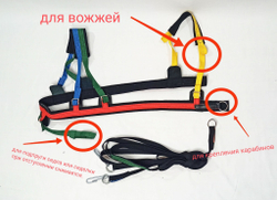 Шлейка для катания на ватрушке для пони и ослика, скиджоринг-красная