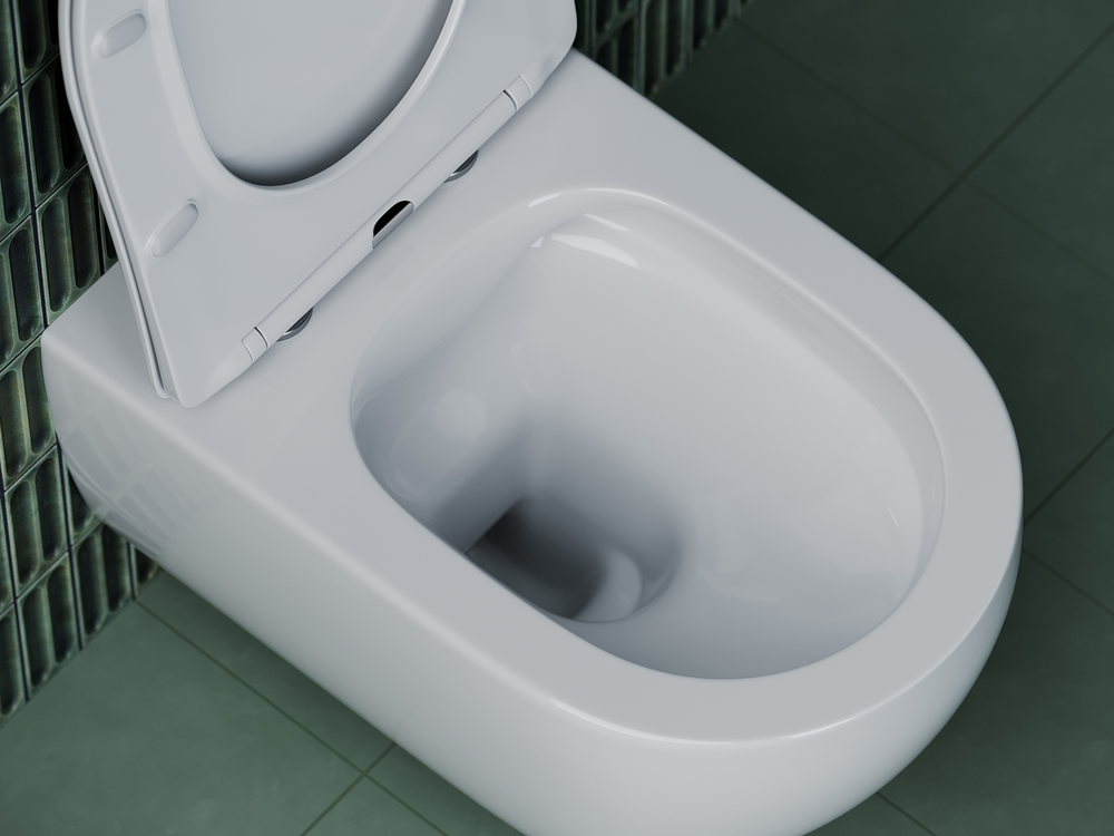 Подвесной унитаз Long Rimless