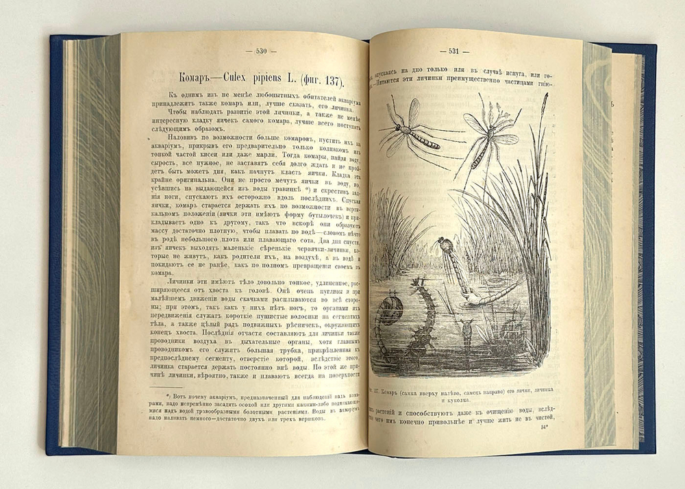 Аквариум любителя. Подробное описание флоры и фауны Аквариума / Н.Ф. Золотницкий. 2-е изд. М.. 1890