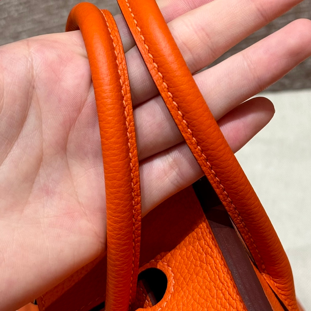 Hermes Birkin 25
