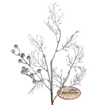 Ветка хвойная «Сияние зимы» 67 см, Серебро