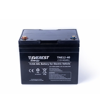 Тяговая аккумуляторная батарея EVEREST TNE 12-40