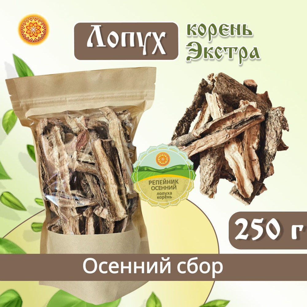 Лопух корень, репейник осенний, добавка к чаю