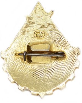 Значок "Юный техник СССР", булавка