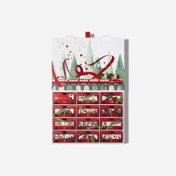 Origins Advent Calendar 12 Beauty & Body Holiday Favorites