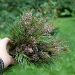 Букет сухоцветов 30х30 см - Хвойный