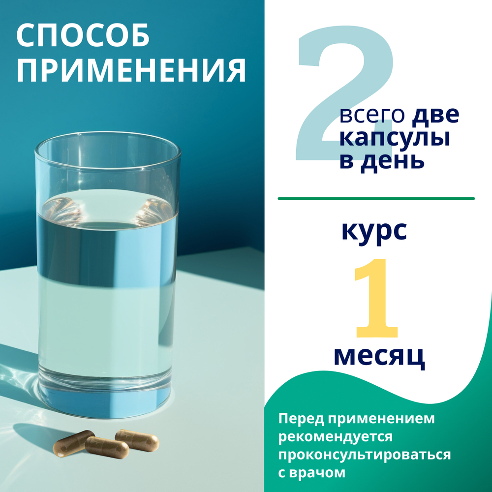 Концентрат Ежовик гребенчатый, 60 капсул
