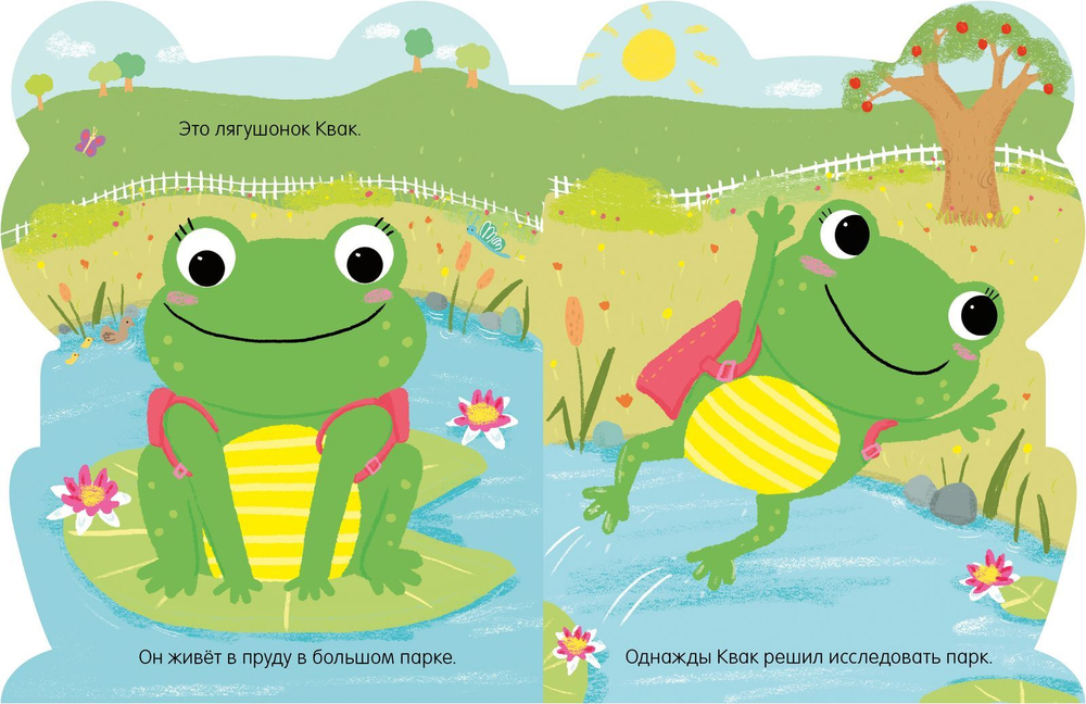 Книжки-картонки. Лягушонок Квак