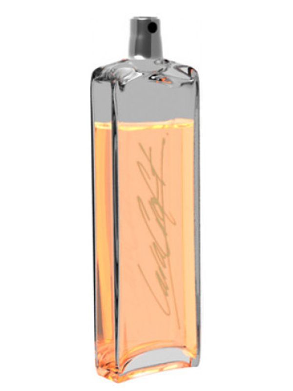 Tomb Raider Lara Croft