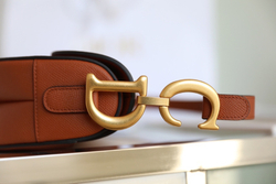 Christian Dior Saddle Bag 25 cm