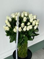 Роза белая (60 см) АКЦИЯ