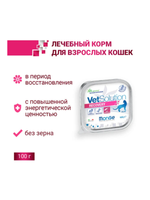 Ветеринарная диета Monge VetSolution Cat Recovery Рекавери для кошек 12 баночек по 100гр.