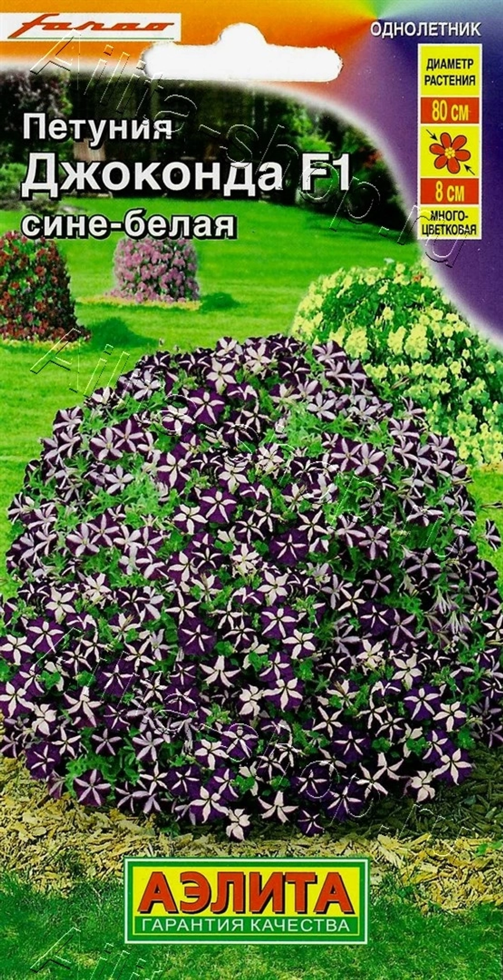 Петуния Джоконда сине-белая F1