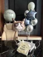 Воздушные шары №6272