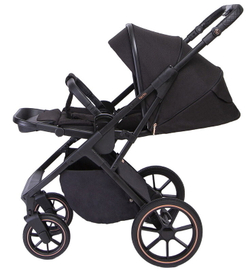 Детская коляска Peppy Tecla 3 в 1 с автокреслом Verona Black Rose Black Черный