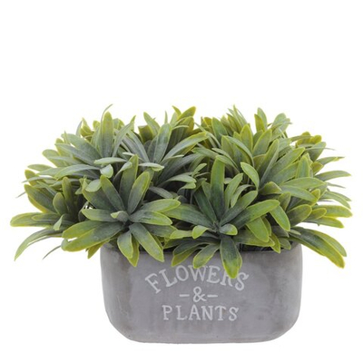 Цветочная композиция