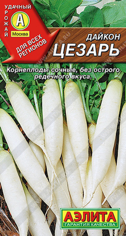 Дайкон Цезарь 1гр Аэлита