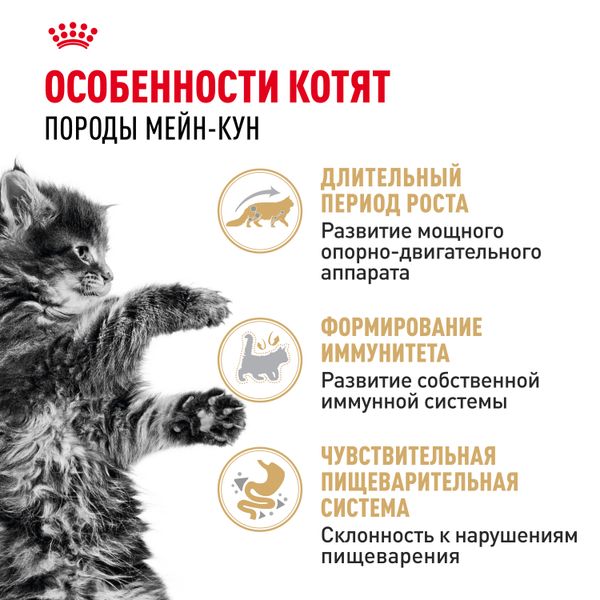 Пауч Royal Canin Maine Coon Kitten для котят породы Мэйн Кун в возрасте до 15 месяцев, мелкие кусочки в соусе