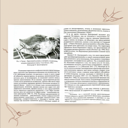 Икота. Мифологический персонаж в локальной традиции. Ольга Христофорова