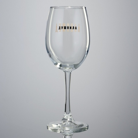 Бокал для вина с надписью «Душнила», 360 мл
