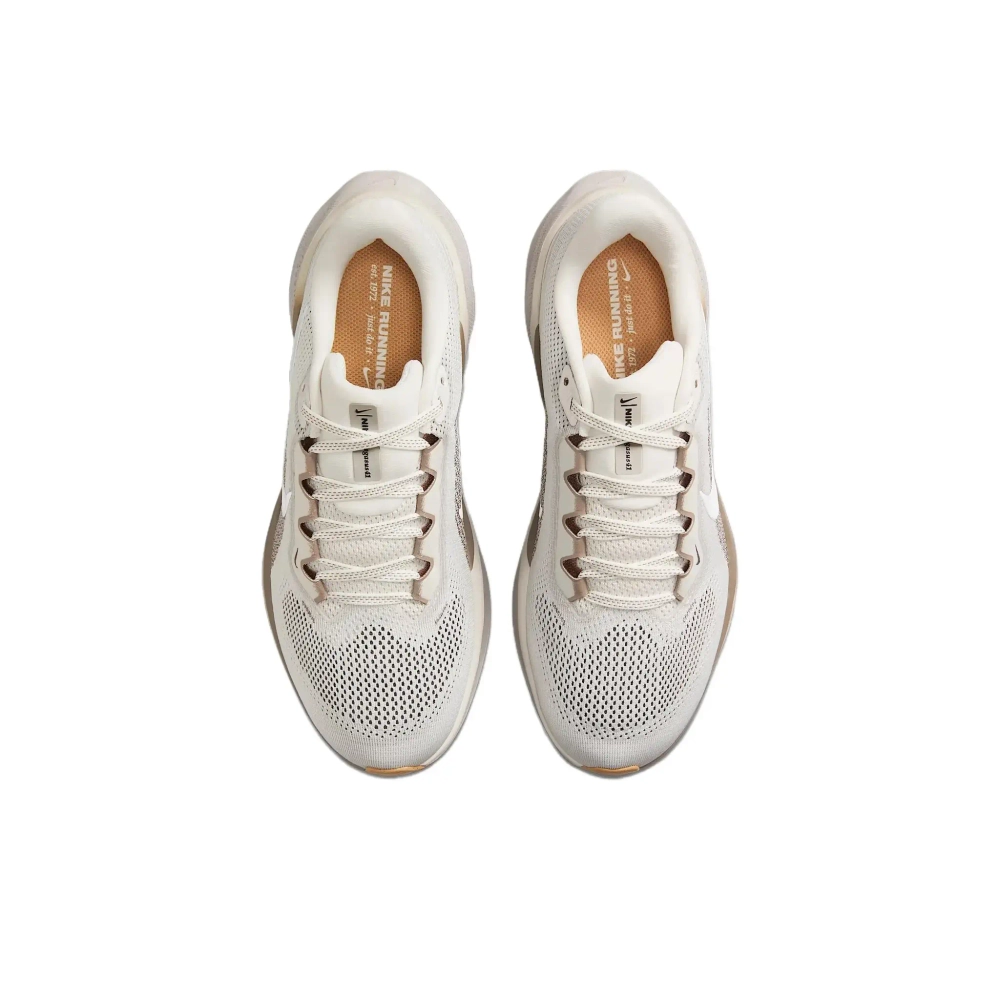 Женские кроссовки Nike Air Zoom Pegasus 41 'Phantom Mink Brown' FD2723-008