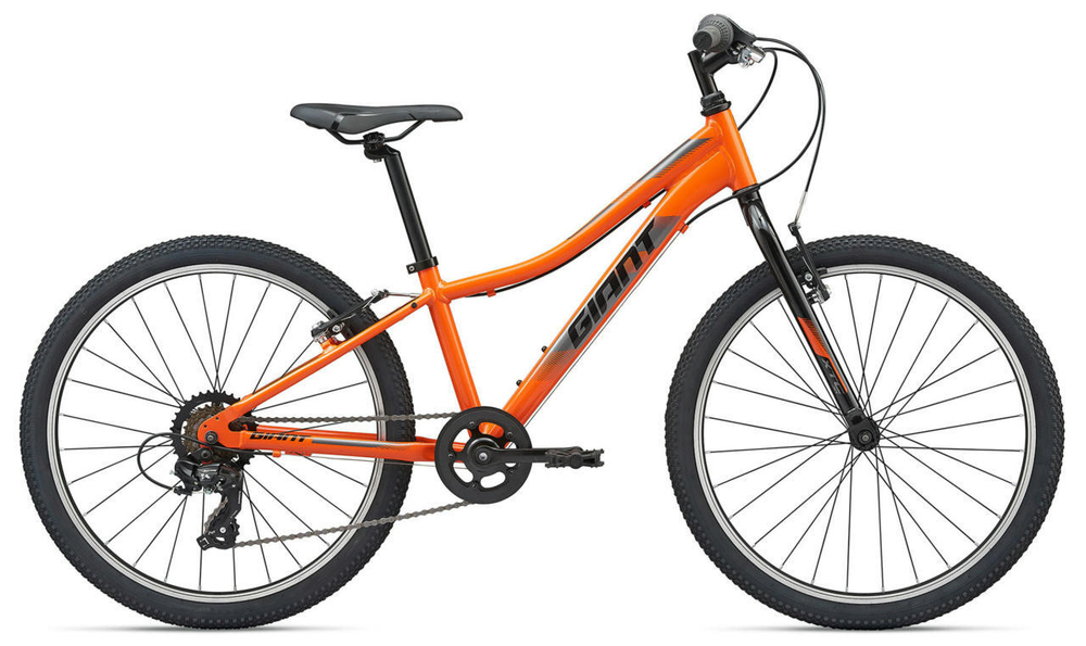 Подростковый велосипед Giant XTC Jr 24 Lite (2021)