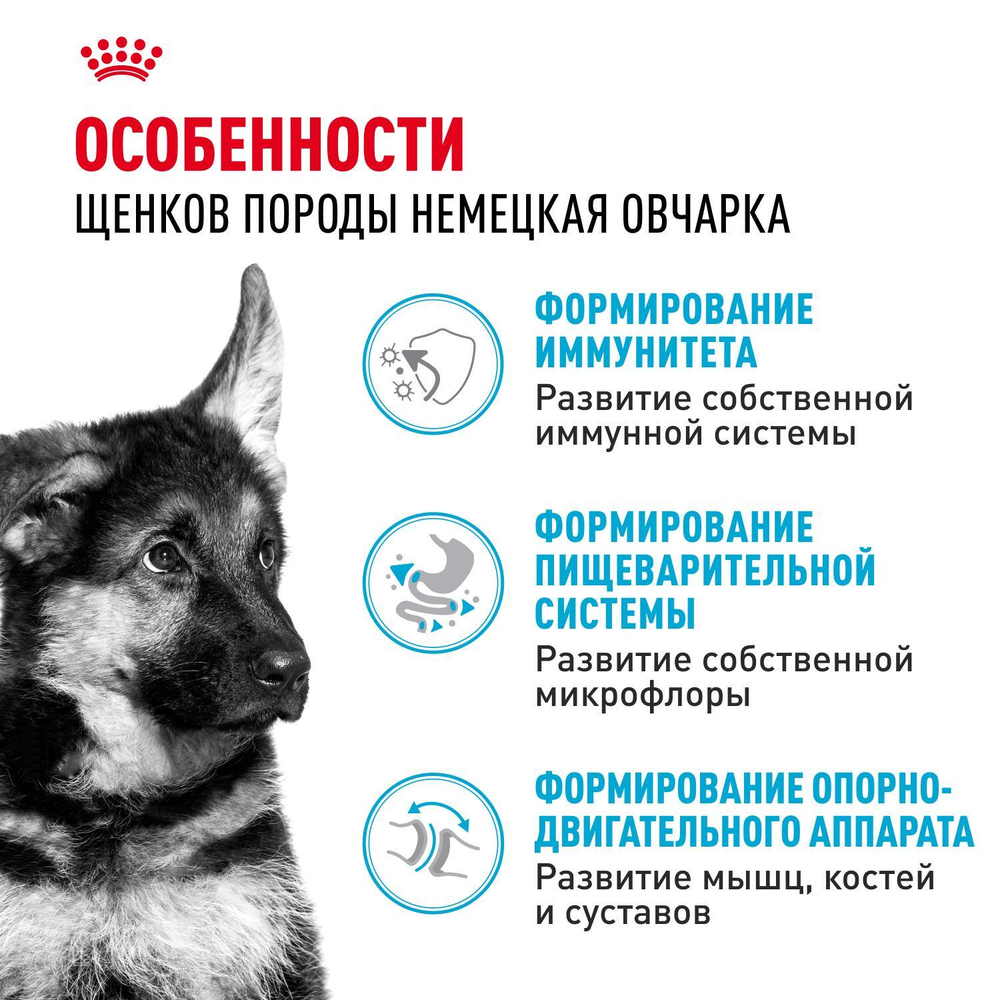 Royal Canin German Shepherd Puppy Корм сухой для щенков породы Немецкая овчарка до 15 месяцев 3 кг