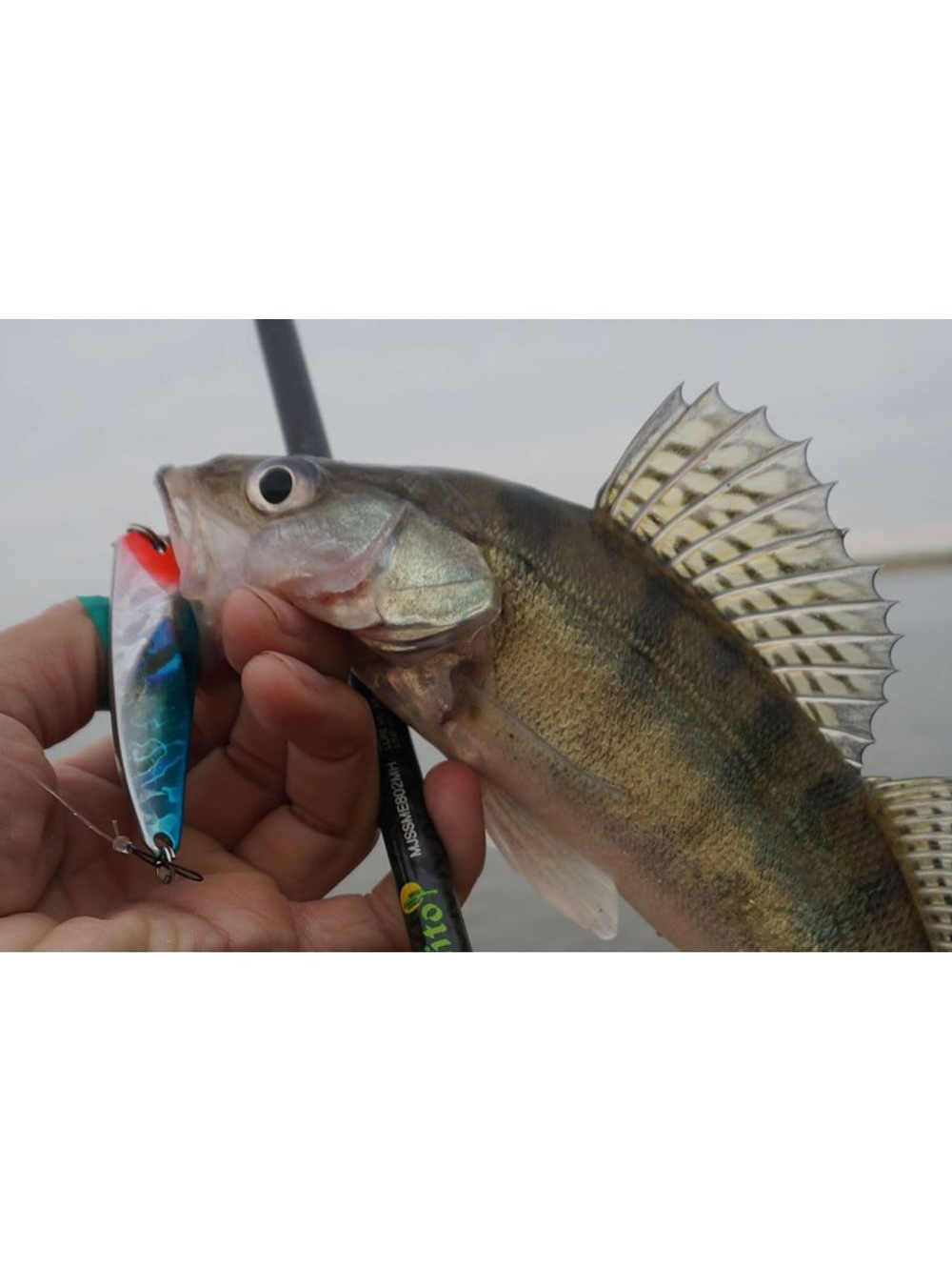 Блесна для рыбалки LureMax Hoyt