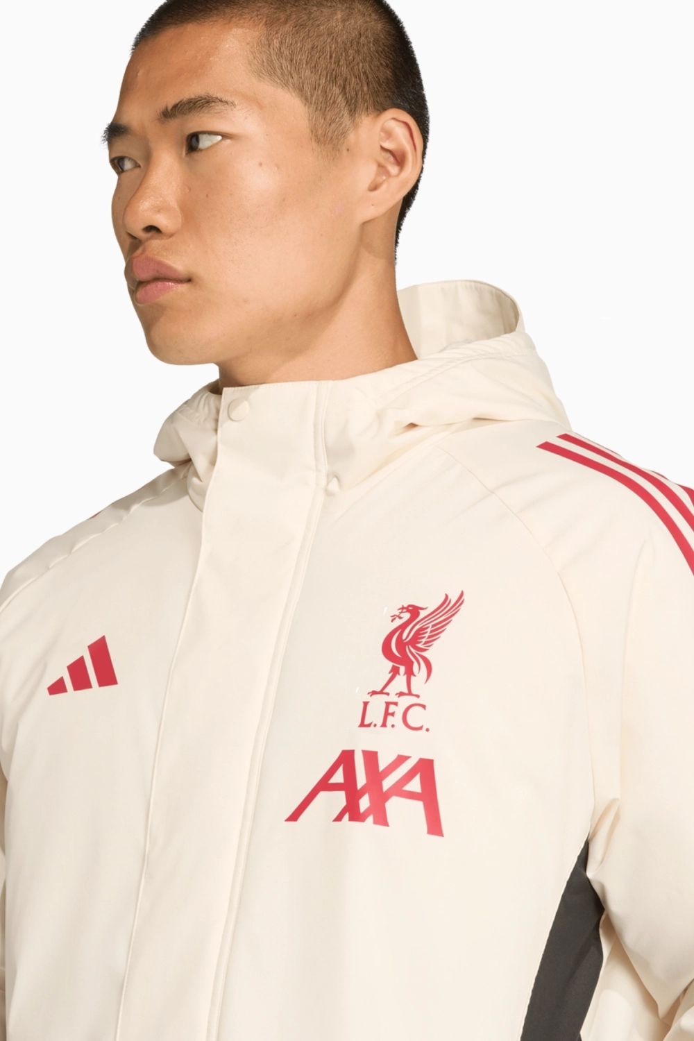 Куртка adidas Liverpool FC 25/26 Stadium - бежевый